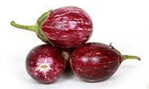 brinjal Sabari Traders
